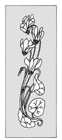 エッチングガラスのデザイン画