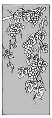 エッチングガラスのデザイン画