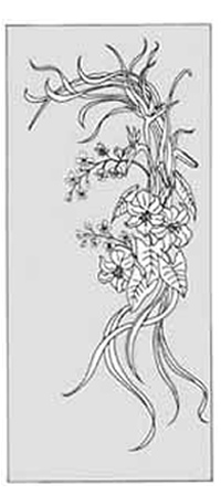 エッチングガラスのデザイン画