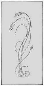 エッチングガラスのデザイン画