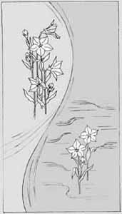 エッチングガラスのデザイン画