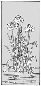 エッチングガラスのデザイン画