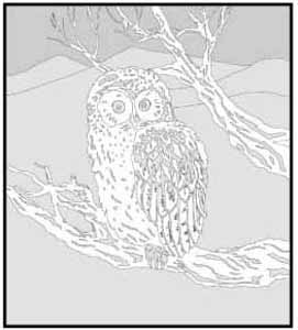 エッチングガラスのデザイン画