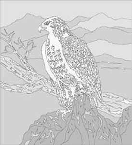 エッチングガラスのデザイン画