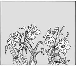 エッチングガラスのデザイン画