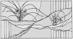 エッチングガラスのデザイン画