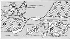 エッチングガラスのデザイン画