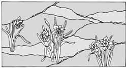 エッチングガラスのデザイン画