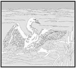 エッチングガラスのデザイン画