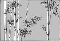 エッチングガラスのデザイン画