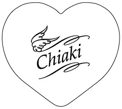 小物入れデザイン